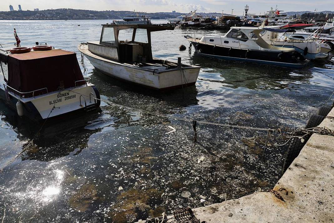 İstanbul'un o sahilinde yürüyüş yapanlar gözlerine inanamadı! Bitti denmişti, meğer yeniden başlıyormuş 9